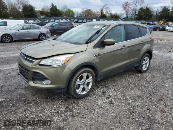 2014 Ford Escape SE with VIN 1FMCU0GX2EUA44369, listed as a Copart auction lot 51190805 with 117,975 mi miles and Salvage Title. Bid and sale history available at carsss.com. Image 1.