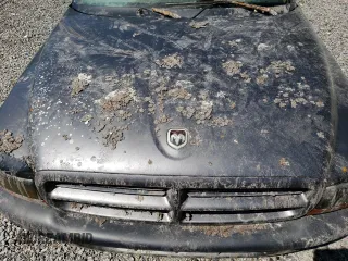 2001 Dodge Dakota with VIN 1B7FL26X21S343416, listed as a Copart auction lot 48143584 with 0 mi miles and Non Repairable. Bid and sale history available at carsss.com. Image 11.
