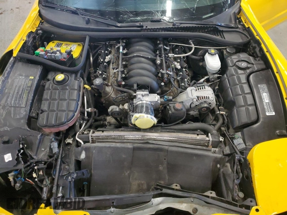 2003 Chevrolet Corvette Z06 with VIN 1G1YY12S635129327, listed as a Copart auction lot 51208995 with 34,626 mi miles and Clean Title. Bid and sale history available at carsss.com. Image 11.