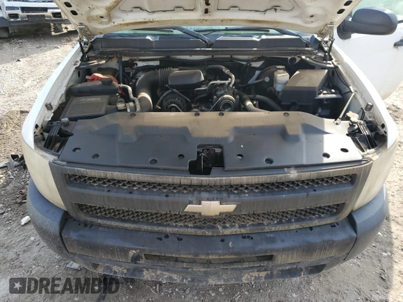 2009 Chevrolet Silverado 1500 Work Truck with VIN 1GCEC14X19Z225725, listed as a Copart auction lot 51499965 with Not Provided miles and Salvage Title. Bid and sale history available at DreamBid. Image 11.