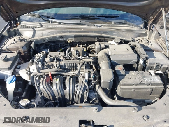 2018 Kia Optima LX with VIN KNAGT4L35J5238723, listed as a IAAI auction lot 41702109 with 66,620 mi miles. Bid and sale history available at carsss.com. Image 10.