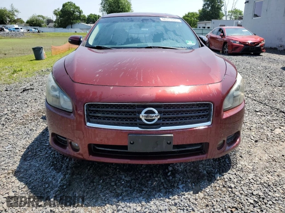 2011 Nissan Maxima SV with VIN 1N4AA5AP5BC850823, listed as a Copart auction lot 60701225 with 78,584 mi miles and Salvage title. Bid and sale history available at DreamBid. Image 5.