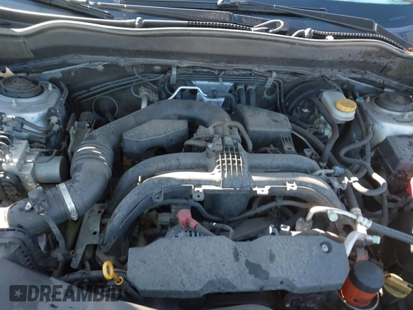 2017 Subaru Forester Touring with VIN JF2SJAWC8HH532348, listed as a IAAI auction lot 41304804 with 104,221 mi miles and . Bid and sale history available at DreamBid. Image 10.