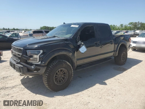 2019 Ford F-150 Raptor with VIN 1FTFW1RG0KFB43691, listed as a Copart auction lot 51160605 with 174,785 mi miles and Salvage Title. Bid and sale history available at carsss.com. Image 1.