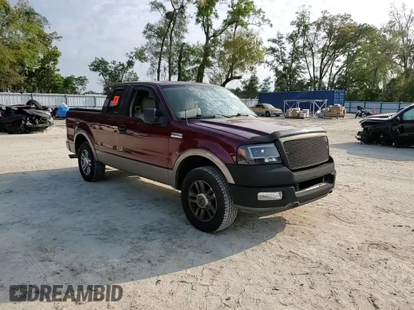2005 Ford F-150 XLT with VIN 1FTRX125X5KB30400, listed as a Copart auction lot 49812425 with 196,238 mi miles and Salvage Title. Bid and sale history available at carsss.com. Image 11.