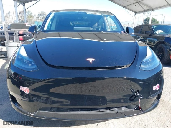 2024 Tesla Model Y with VIN 7SAYGDED1RF212991, listed as a IAAI auction lot 41644411 with NaN miles. Bid and sale history available at carsss.com. Image 13.