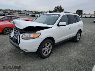 2009 Hyundai Santa Fe SE with VIN 5NMSH13EX9H252785, listed as a Copart auction lot 44768815 with 128,221 mi miles and Salvage Title. Bid and sale history available at carsss.com. Image 1.
