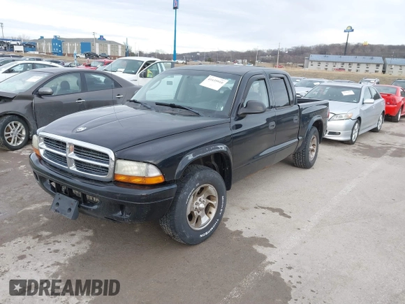 2004 Dodge Dakota Sport with VIN 1D7HL38N24S768283, listed as a IAAI auction lot 41635910 with 328,505 mi miles. Bid and sale history available at carsss.com. Image 2.
