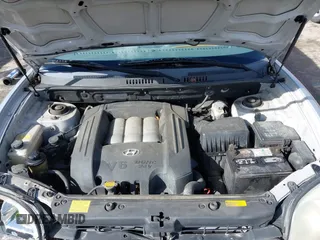 2005 Hyundai Santa Fe GLS with VIN KM8SC73D55U988475, listed as a IAAI auction lot 41779224 with 161,623 mi miles. Bid and sale history available at carsss.com. Image 10.