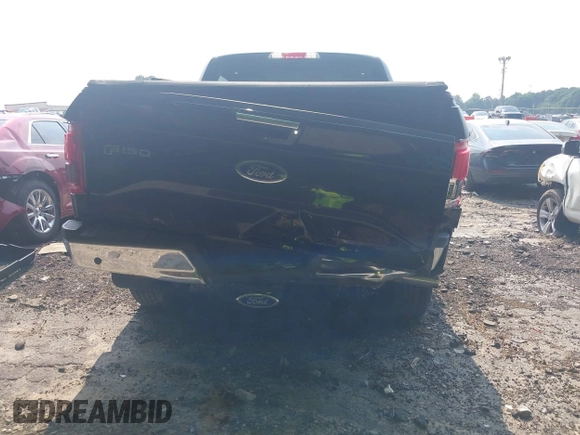 2016 Ford F-150 XLT with VIN 1FTEW1EG9GFD57846, listed as a IAAI auction lot 42393903 with 66,484 mi miles and . Bid and sale history available at DreamBid. Image 6.