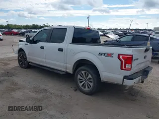 2017 Ford F-150 XL with VIN 1FTEW1CF6HFA51201, listed as a IAAI auction lot 38205513 with 313,459 mi miles. Bid and sale history available at carsss.com. Image 3.