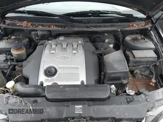 2005 Kia Sedona LX with VIN KNDUP132356703354, listed as a IAAI auction lot 41529197 with 1 mi miles. Bid and sale history available at carsss.com. Image 10.