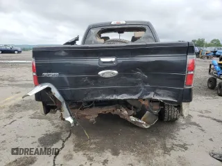 2009 Ford F-150 STX with VIN 1FTRX14819KB81135, listed as a Copart auction lot 61414765 with Not provided miles and Salvage title. Bid and sale history available at DreamBid. Image 6.