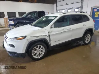 2017 Jeep Cherokee Latitude with VIN 1C4PJLCB9HD233423, listed as a Copart auction lot 53133315 with 113,150 mi miles and Salvage Title. Bid and sale history available at carsss.com. Image 1.