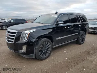 2017 Cadillac Escalade Premium Luxury with VIN 1GYS3CKJ4HR337750, listed as a Copart auction lot 87628035 with 107,142 mi miles and Clean Title. Bid and sale history available at carsss.com. Image 1.