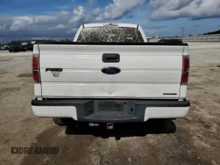 2013 Ford F-150 XL with VIN 1FTMF1EF1DFA51044, listed as a Copart auction lot 79561474 with 191,122 mi miles and Salvage Title. Bid and sale history available at DreamBid. Image 6.