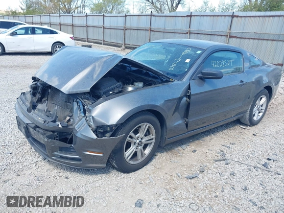 2013 Ford Mustang V6 с VIN 1ZVBP8AM1D5261762, выставлен на аукционе IAAI как лот 42028527 с пробегом 113 224 миль миль и . История ставок и продаж доступна на DreamBid. Изображение 2.