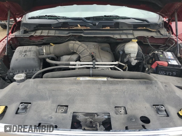 2010 Dodge 1500 Laramie with VIN 1D7RV1GT9AS113732, listed as a Copart auction lot 60963225 with 171,006 mi miles and Clean title. Bid and sale history available at DreamBid. Image 11.