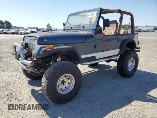 1995 Jeep Wrangler with VIN 1J4FY29S2SP309833, listed as a Copart auction lot 48493855 with 50,188 mi miles and Clean Title. Bid and sale history available at carsss.com. Image 1.