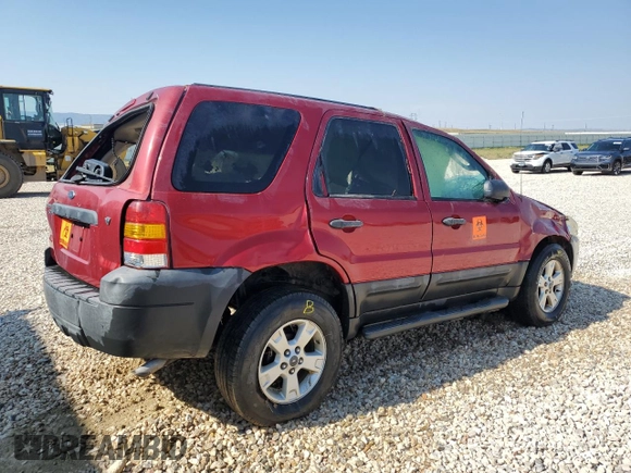 2007 Ford Escape XLT with VIN 1FMCU031X7KB06567, listed as a Copart auction lot 61941534 with 0 mi miles and Salvage Title. Bid and sale history available at carsss.com. Image 3.