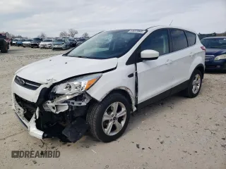 2014 Ford Escape SE with VIN 1FMCU9GX9EUE31649, listed as a Copart auction lot 53612065 with 57,162 mi miles and Clean title. Bid and sale history available at DreamBid. Image 1.