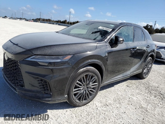 2024 Lexus RX with VIN 2T2BCMEA1RC014397, listed as a Copart auction lot 73970934 with Not Provided miles and Salvage Title. Bid and sale history available at carsss.com. Image 1.