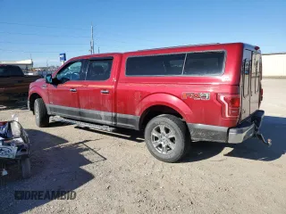 2017 Ford F-150 XL with VIN 1FTFW1EG7HKC03195, listed as a Copart auction lot 41387945 with 135,718 mi miles and Salvage Title. Bid and sale history available at carsss.com. Image 2.