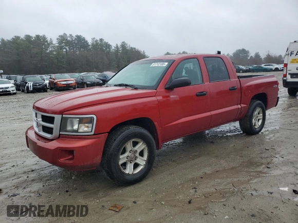 2010 Dodge Dakota Bighorn/Lonestar z VIN 1D7CW3GK9AS188579, wystawiony jako Copart lot #51712185 z przebiegiem 198 657 mil mil oraz Czysty tytuł • Clean title. Historia ofert i sprzedaży dostępna na DreamBid. Obrazek 1.