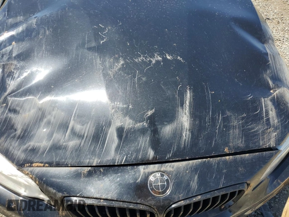 2016 BMW 2 Series 228i with VIN WBA1F9C53GV546624, listed as a Copart auction lot 57800425 with 96,608 mi miles and Salvage title. Bid and sale history available at DreamBid. Image 11.