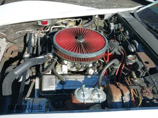 1981 Chevrolet Corvette with VIN 1G1AY8768BS418361, listed as a IAAI auction lot 41851046 with 72,559 mi miles and . Bid and sale history available at DreamBid. Image 20.