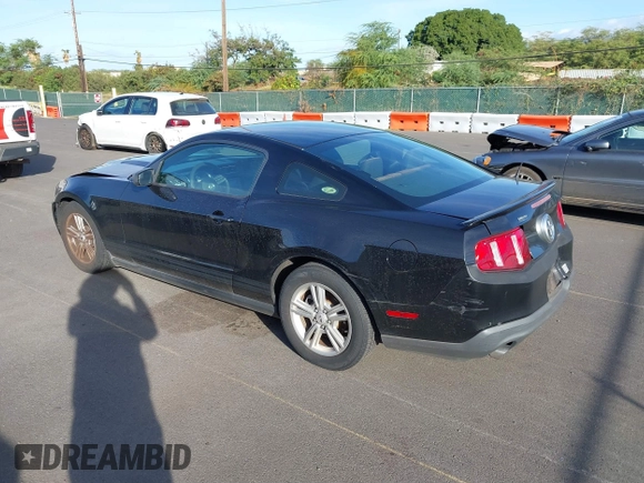 2011 Ford Mustang V6 with VIN 1ZVBP8AM4B5116826, listed as a IAAI auction lot 41436357 with 121,700 mi miles and . Bid and sale history available at carsss.com. Image 3.