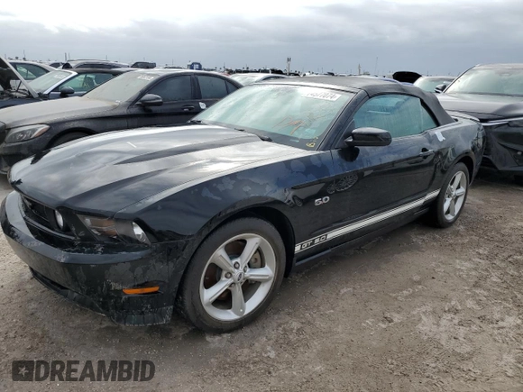 2011 Ford Mustang GT with VIN 1ZVBP8FF2B5155683, listed as a Copart auction lot 74577074 with Not Provided miles and Non Repairable. Bid and sale history available at DreamBid. Image 1.