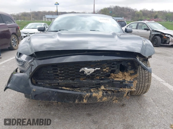 2017 Ford Mustang V6 with VIN 1FA6P8AM8H5280924, listed as a IAAI auction lot 41938096 with 167,622 mi miles and . Bid and sale history available at DreamBid. Image 13.
