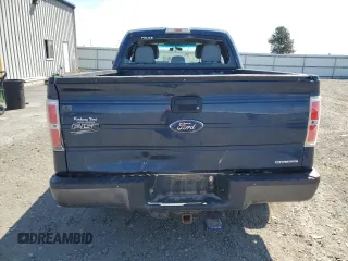 2014 Ford F-150 XL with VIN 1FTFX1EF9EKF94236, listed as a Copart auction lot 62954045 with 203,713 mi miles and Salvage title. Bid and sale history available at DreamBid. Image 6.