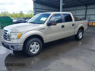 2010 Ford F-150 XL with VIN 1FTEW1C84AFD29603, listed as a IAAI auction lot 41960726 with 260,297 mi miles. Bid and sale history available at carsss.com. Image 2.
