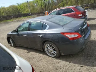 2010 Nissan Maxima 3.5 SV w/Sport Pkg with VIN 1N4AA5APXAC817024, listed as a Copart auction lot 53623465 with 0 mi miles and Salvage Title. Bid and sale history available at carsss.com. Image 2.