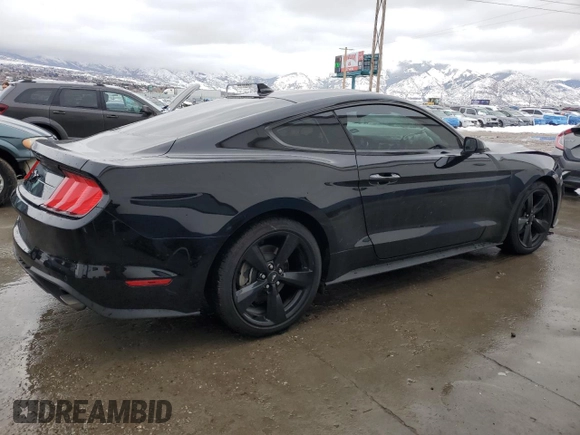 2023 Ford Mustang EcoBoost z VIN 1FA6P8TH5P5101057, wystawiony jako Copart lot #45983005 z przebiegiem 42 443 mil mil oraz Szkoda całkowita • Salvage title. Historia ofert i sprzedaży dostępna na DreamBid. Obrazek 3.