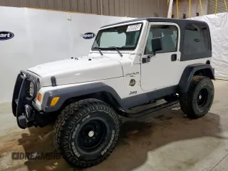 2001 Jeep Wrangler Sahara with VIN 1J4FA59S41P303519, listed as a Copart auction lot 59899545 with 238,151 mi miles and Clean title. Bid and sale history available at DreamBid. Image 1.