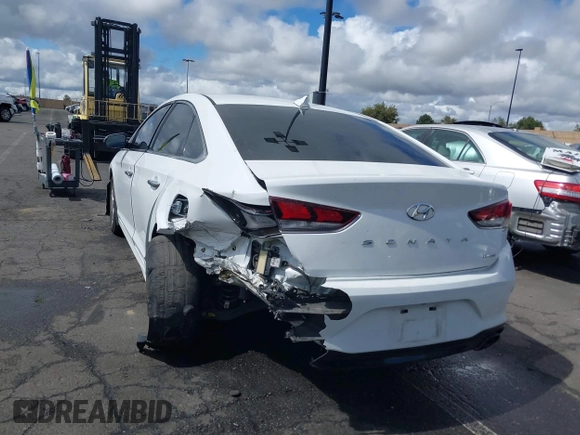 2019 Hyundai Sonata SEL with VIN 5NPE34AF5KH814027, listed as a IAAI auction lot 41787517 with 78,034 mi miles and . Bid and sale history available at DreamBid. Image 14.