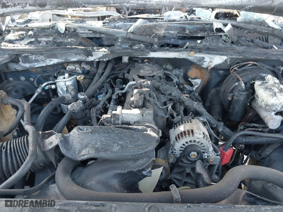 2003 Chevrolet Silverado 1500 LS with VIN 2GCEK19T331206067, listed as a IAAI auction lot 41629974 with 1 mi miles. Bid and sale history available at carsss.com. Image 10.