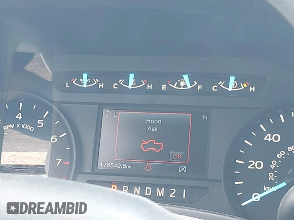2018 Ford F-150 XL with VIN 1FTEX1CB1JKF06401, listed as a IAAI auction lot 42159664 with 176,549 mi miles and . Bid and sale history available at DreamBid. Image 15.