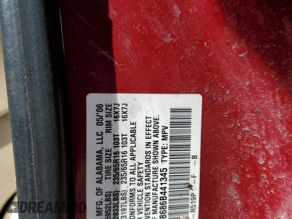 2006 Honda Odyssey EX-L with VIN 5FNRL38686B441345, listed as a Copart auction lot 53683965 with 0 mi miles and Salvage Title. Bid and sale history available at carsss.com. Image 13.