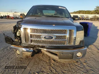 2009 Ford F-150 XL with VIN 1FTRW12869FA73172, listed as a Copart auction lot 41407375 with 215,230 mi miles and Salvage Title. Bid and sale history available at carsss.com. Image 5.