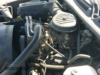 1999 Dodge Dakota SLT z VIN 1B7GL22XXXS240005, wystawiony jako IAAI lot #42269211 z przebiegiem 218 163 mil mil oraz . Historia ofert i sprzedaży dostępna na DreamBid. Obrazek 12.