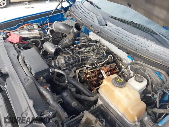 2011 Ford F-150 XLT with VIN 1FTFW1ET3BFD20530, listed as a IAAI auction lot 42549159 with Not provided miles and . Bid and sale history available at DreamBid. Image 10.