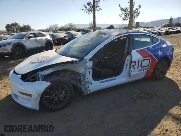 2019 Tesla Model 3 Mid Range with VIN 5YJ3E1EA4KF401500, listed as a Copart auction lot 80029064 with 100,077 mi miles and Salvage Title. Bid and sale history available at carsss.com. Image 1.