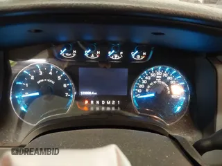 2014 Ford F-150 XL with VIN 1FTFX1ET9EFA62502, listed as a IAAI auction lot 41575300 with 123,698 mi miles and . Bid and sale history available at DreamBid. Image 7.