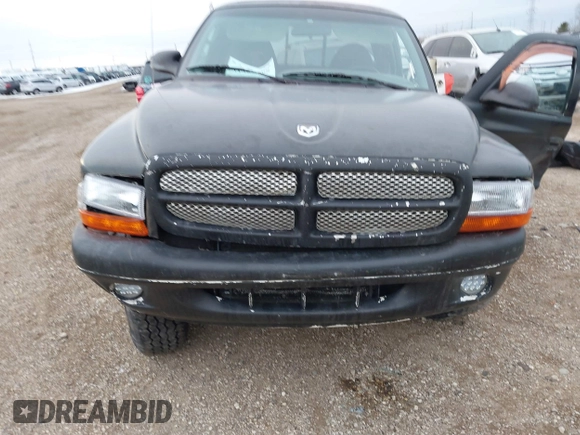 1999 Dodge Dakota SLT with VIN 1B7GG22Y6XS231301, listed as a IAAI auction lot 41427598 with Not Provided miles and . Bid and sale history available at carsss.com. Image 12.
