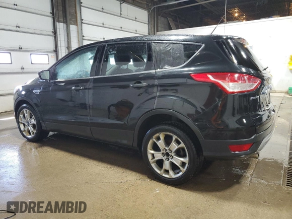 2013 Ford Escape SEL with VIN 1FMCU0HX0DUA95074, listed as a Copart auction lot 53362365 with 261,444 mi miles and Clean Title. Bid and sale history available at carsss.com. Image 2.