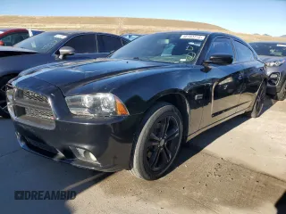 2014 Dodge Charger RT Plus with VIN 2C3CDXDT8EH360882, listed as a Copart auction lot 46183715 with 107,352 mi miles and Salvage Title. Bid and sale history available at carsss.com. Image 1.